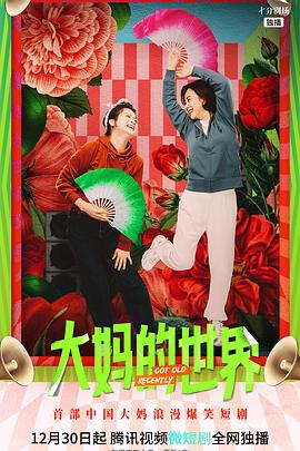 大妈的世界电视剧全20集