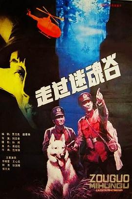 走过迷魂谷电影HD国语